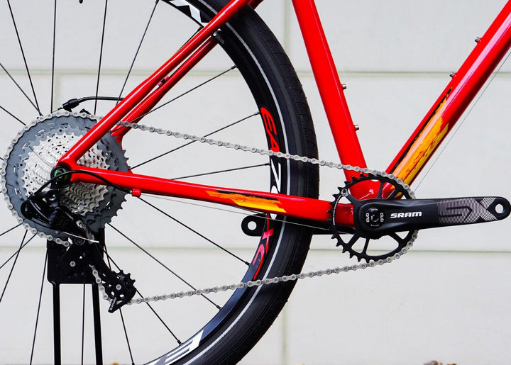 Salsa Mamasita MTB SRam GX 11 DT Swiss – VeloBird